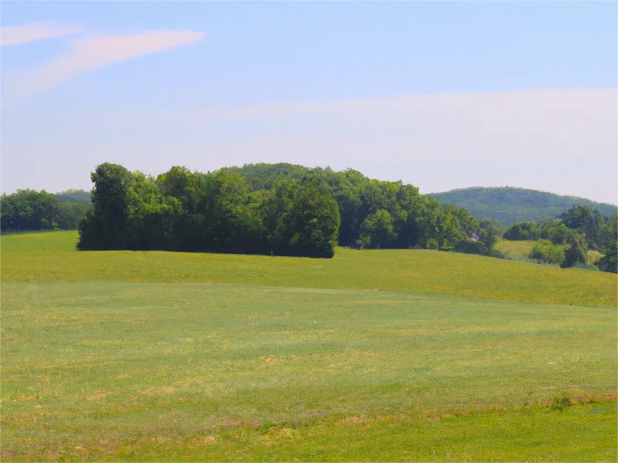 Vacant Lots in Romney